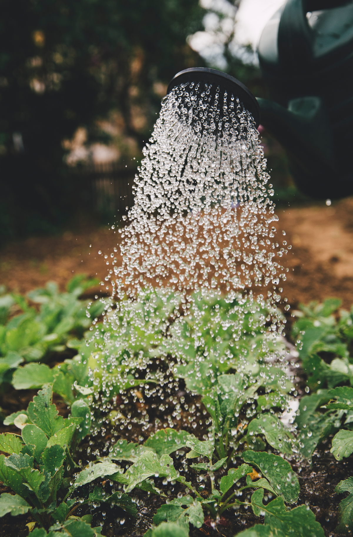 Regenerative Farming with a Psychological Twist