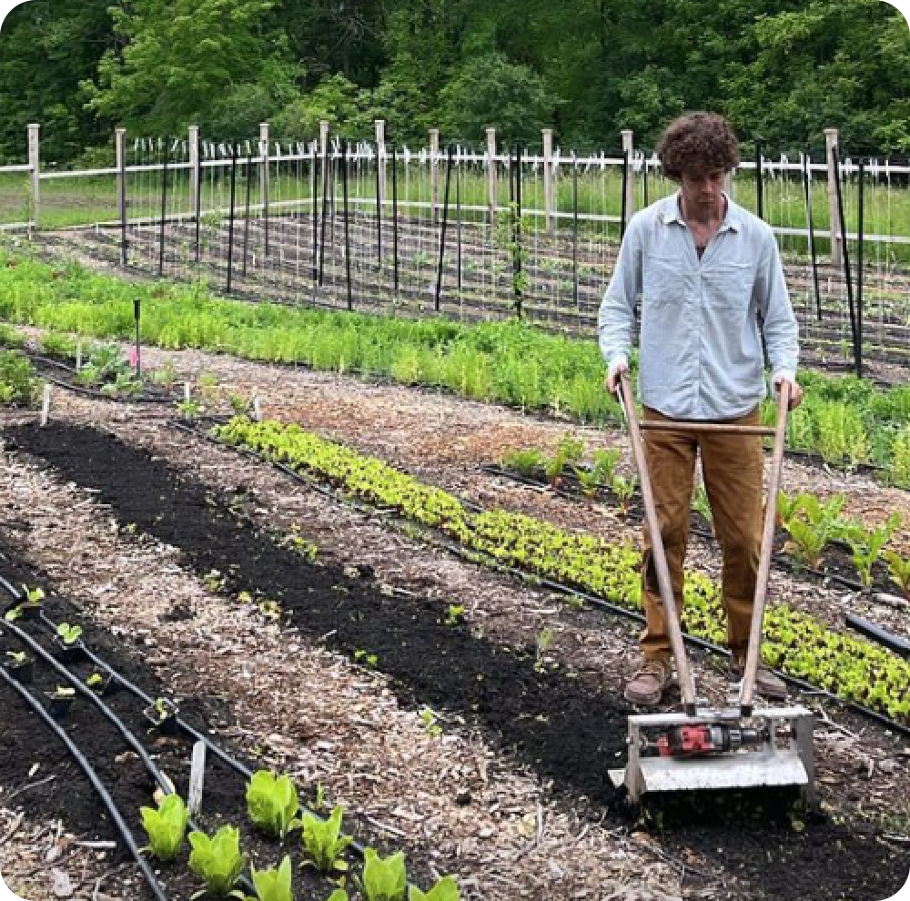 A Soil and Soul Farm team member tending to their garden. Their farm has 9 acres of land.