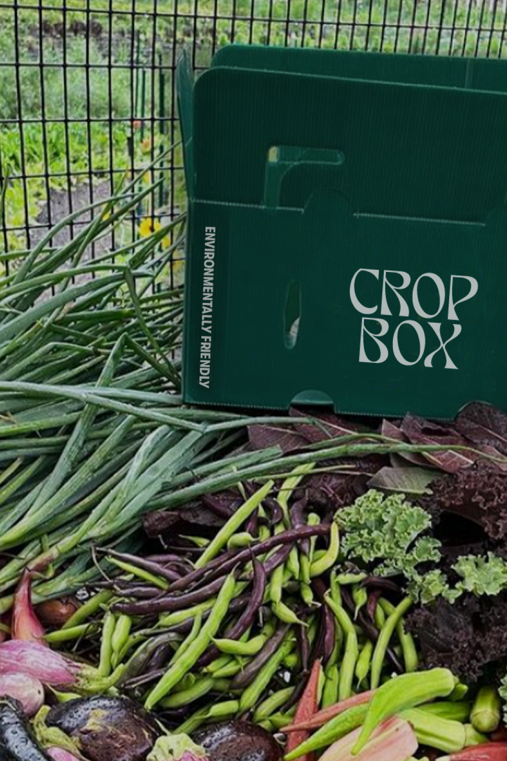 A close-up of Soil and Soul Farm's produce box (Commmunity Supported Agriculture), featuring Soil and Soul Farm's freshly harvested vegetables.