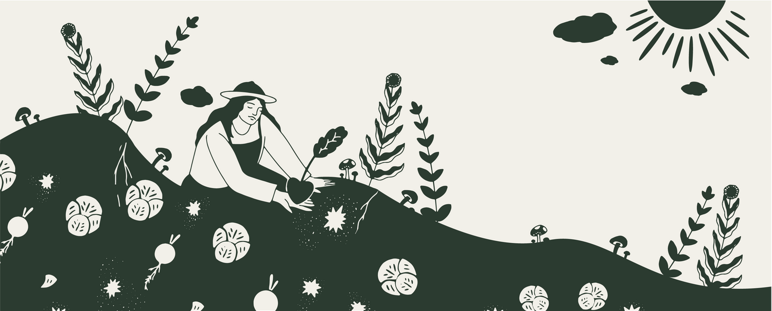 An illustration of a woman caring with love to a garden full of produce. Emphasizing Soil and Soul Farm's method of regenerative farming and it's importance to improving agricultural and ecological systems.