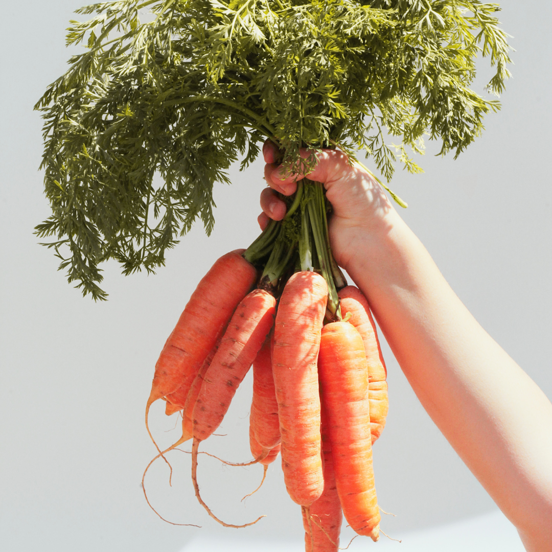 A person holding a bunch of freshly harvested carrots from Soil and Soul Farm