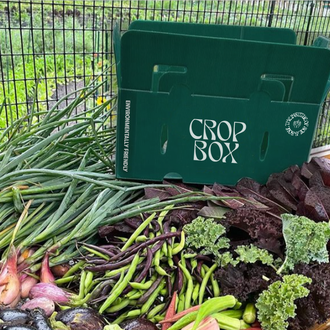 A close-up of Soil and Soul Farm's membership produce box (Commmunity Supported Agriculture), featuring Soil and Soul Farm's freshly harvested vegetables.